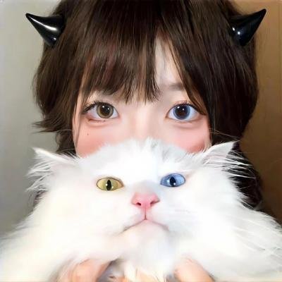 监察局长